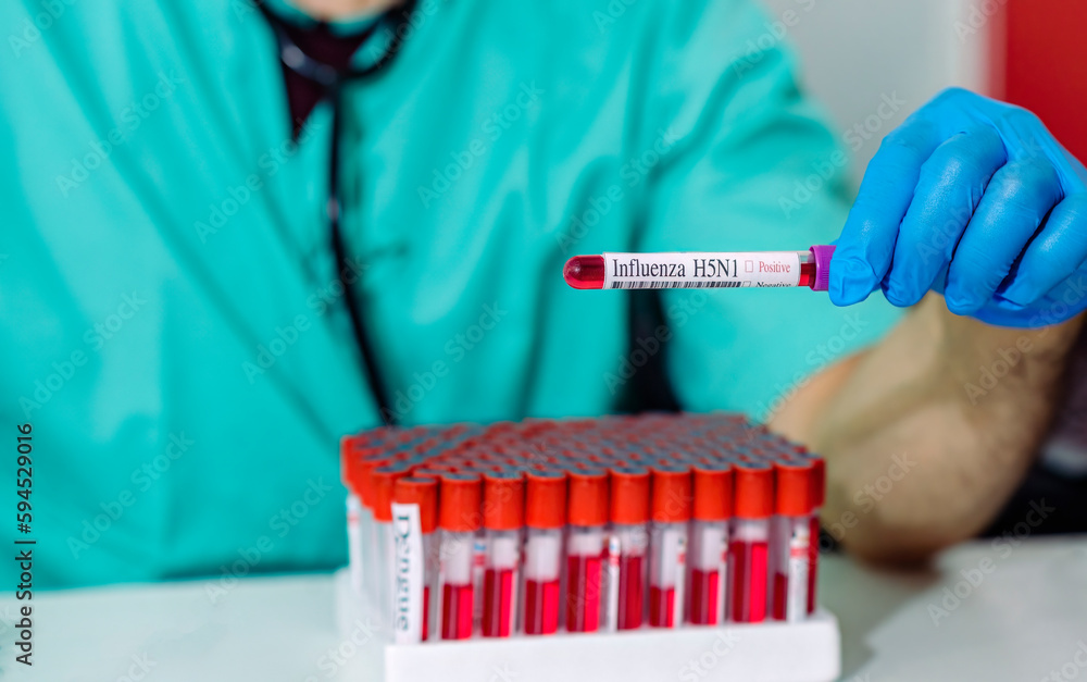 doctor holding a Influenza H5N1 blood test tube. Analysis concept. doctor holding a Influenza H5N1 blood test tube. Analysis concept.