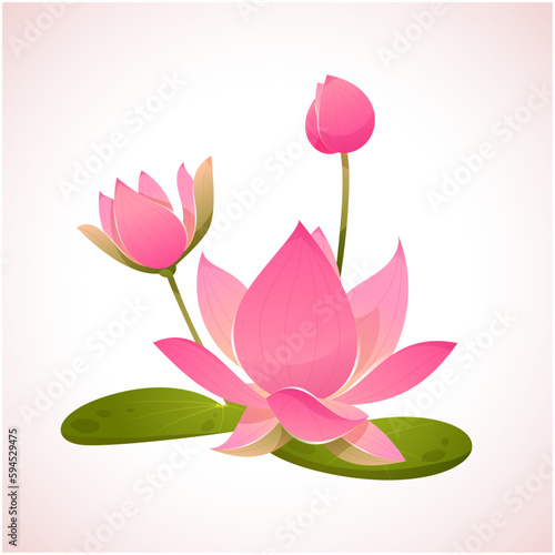 Lotus Flowers 1