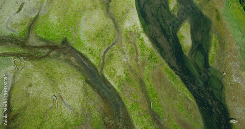 Fly along the ground and photograph rivers, green moss and alluvial plains. A drone shot of Alaska's summer grasslands, coniferous forests and rivers.