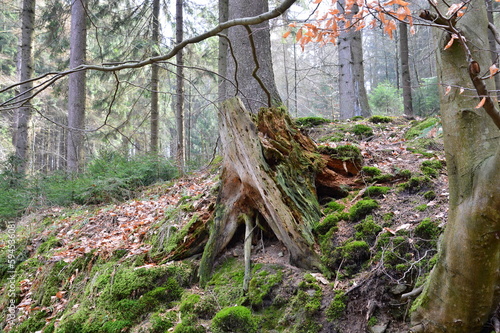 Landscape in the Deister Mountains in the Town Barsinghausen, Lower Saxony photo