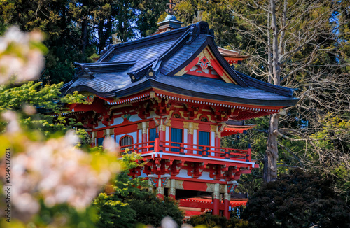 Canvas Print Sakura cherry blossom, San Francisco Golden Gate Park Japanese Tea Garden pagoda