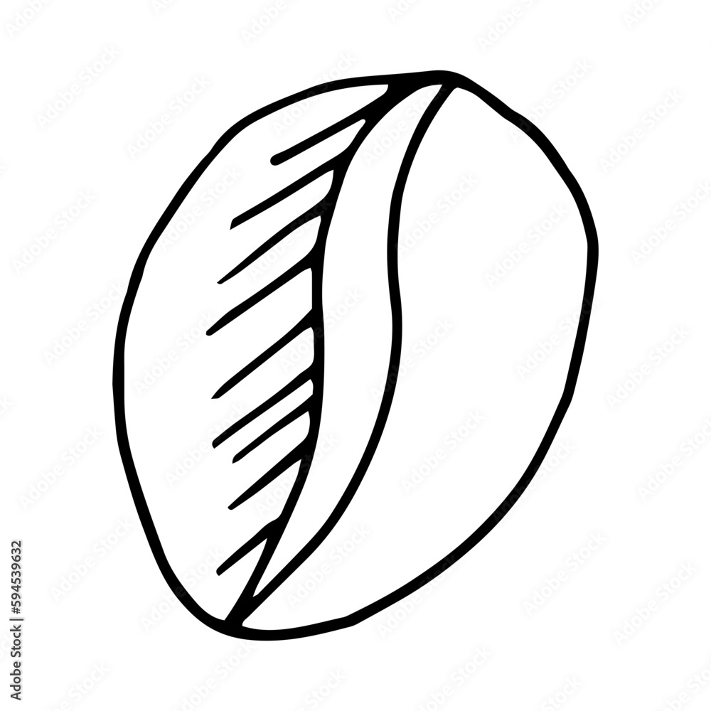 coffee bean hand drawn in doodle style. Suitable for icon, sticker, packaging decor. minimalism, monochrome, Scandinavian coffee bean hand drawn in doodle style. Suitable for icon, sticker, packaging decor. minimalism, monochrome, Scandinavian