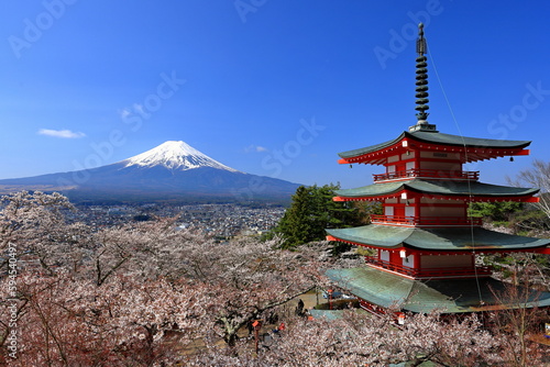 View of Mt. Fuji with cherry blossom (sakura ) in spring from  Arakura Fuji Sengen Shrine, in Fujiyoshida, Japan photo