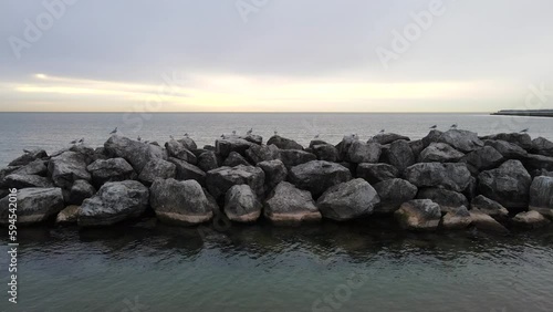 Lake Michigan - Birds photo