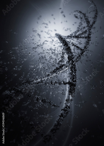Digital DNA