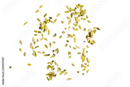Falling Cardamom isolated on white background, clipping path, full depth of field