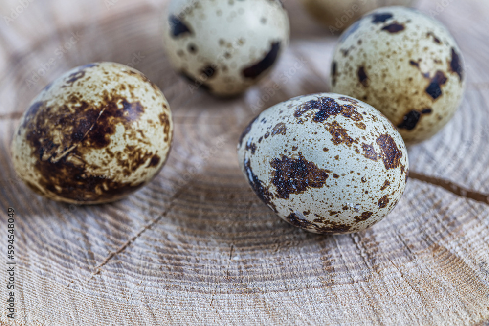Easter quail eggs.  Spring background with small easter quail eggs. Vintage photo processin