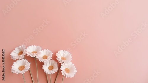chamomile Blossom. Pink background of macro white chamomile blossom. Happy Passover background. Spring womens day concept. Easter, Birthday, womens or mothers holiday