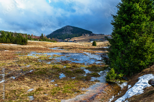 Mountain meadow with melted snow, tree, cottage in Jizerka. photo