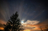 Rays of light and glow in night sky, thousand stars and tree silhouette, Jizerka.