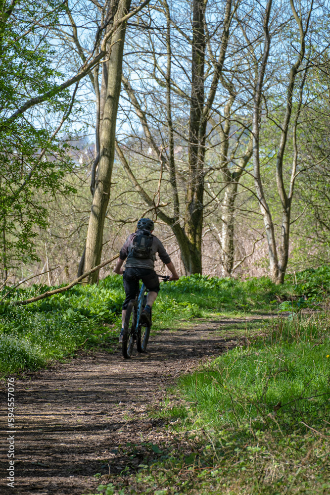 Cyclist bicycling along a path between trees Cyclist bicycling along a path between trees