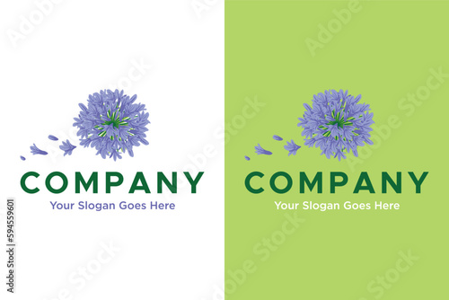 modern agapanthus flower illustration vector logo design