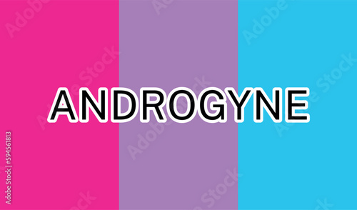 View of International Androgyne Pride Flag