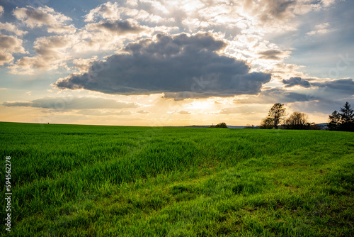 Wiese, Wolken, Himmel, Sonnenuntergang, Sonne, Gras