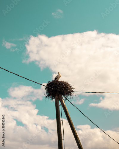 rope on a blue sky, stark