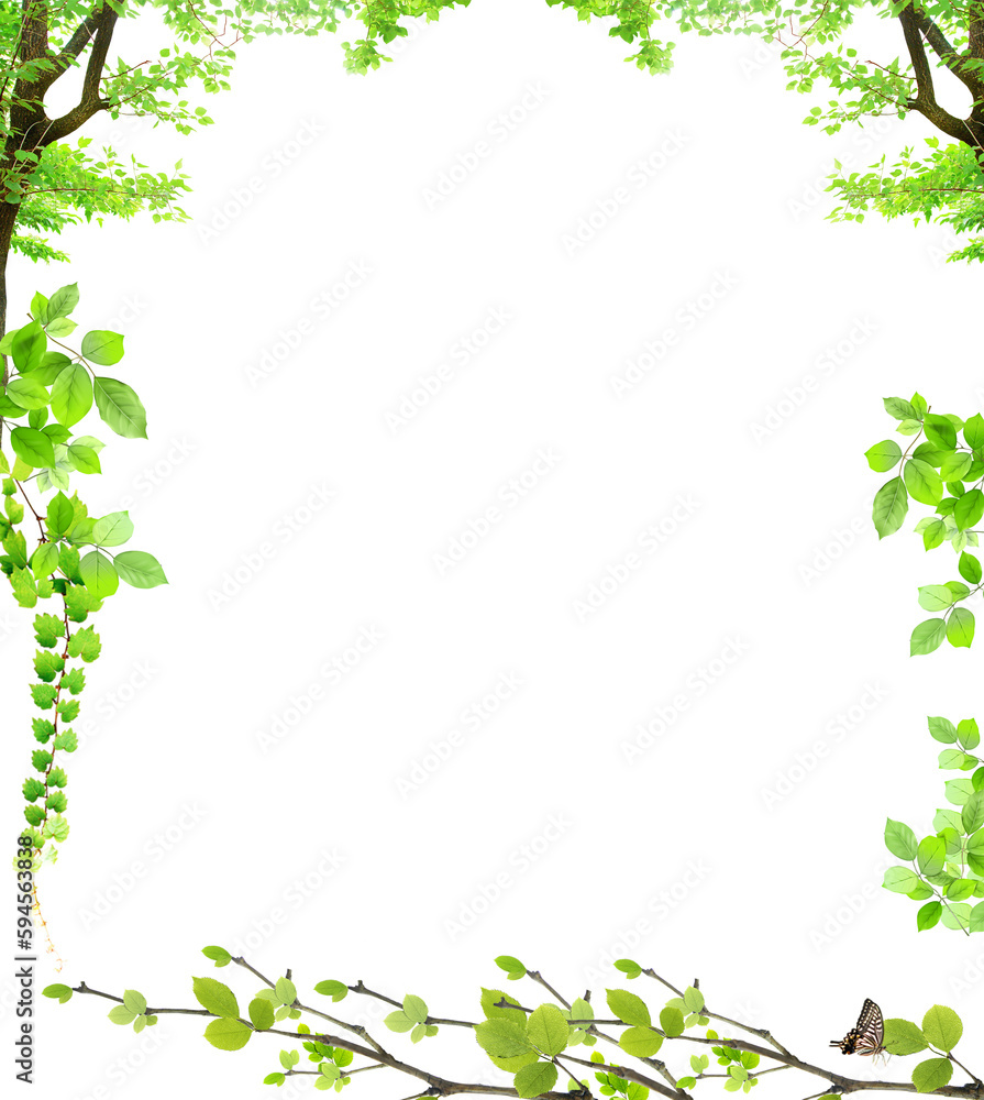 Green leaves Plant isolated