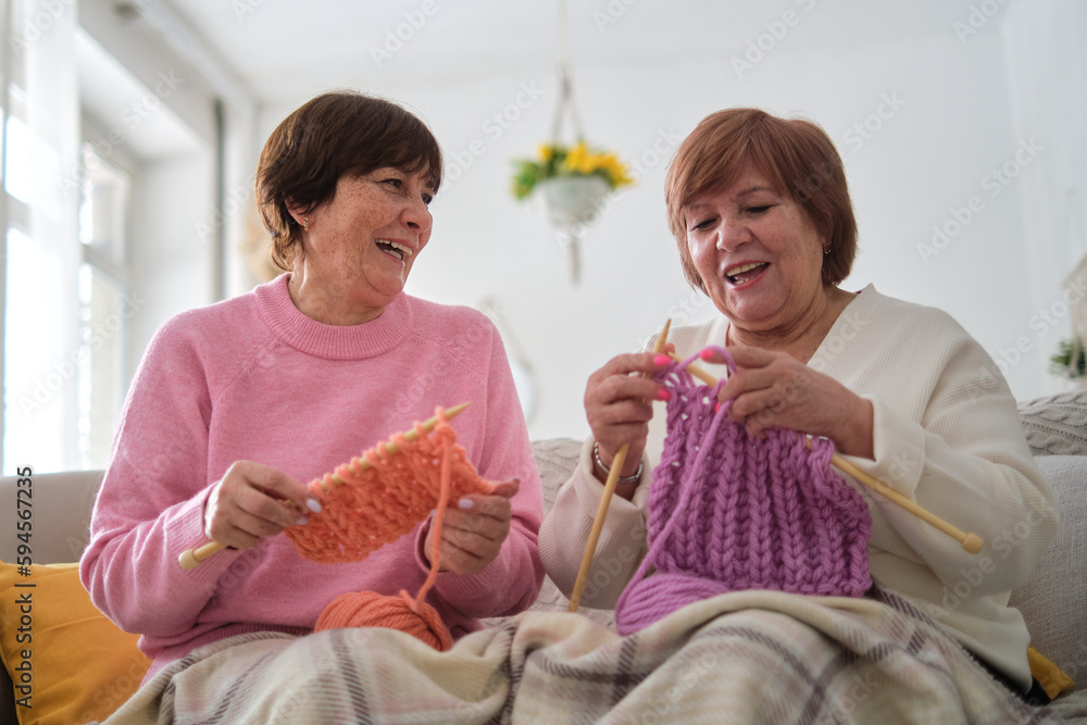 two senior sisters, absorbed in knitting and reminiscing together. A feature on the resurgence of traditional crafts among the elderly and their impact on mental health and overall quality of life.