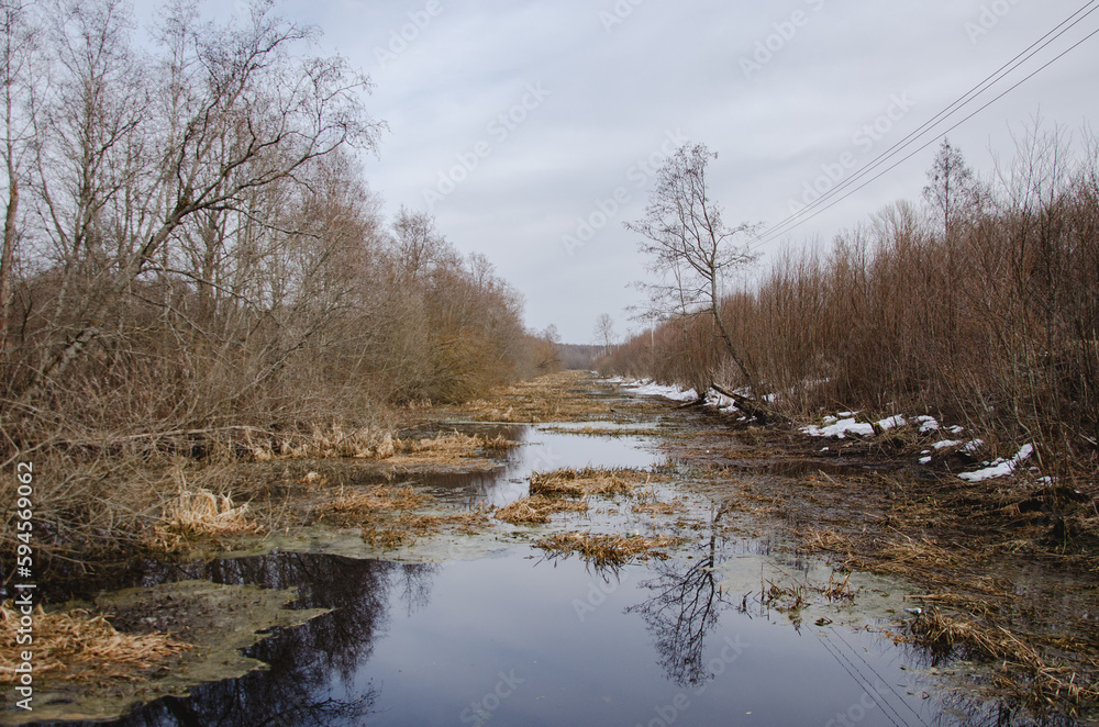 Spring landscape, all brown gray, without leaves. Early Spring Spring landscape, all brown gray, without leaves. Early Spring