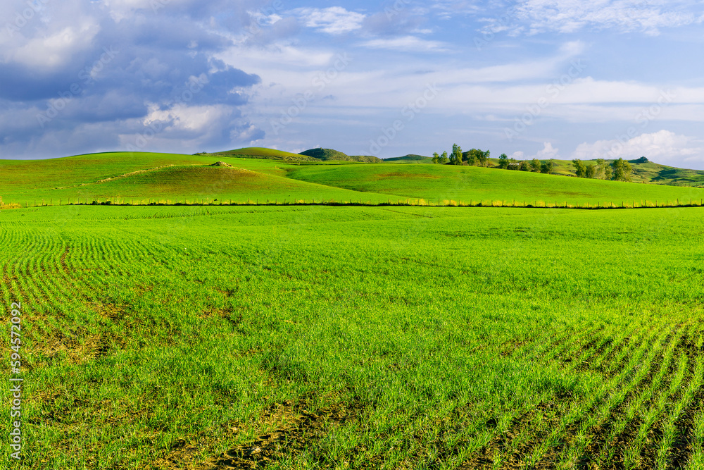 landscape with green grass , country field and beautiful hills and blue sky with clouds