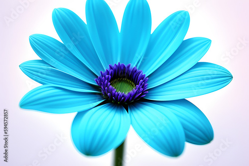 blue flower lonely on white background