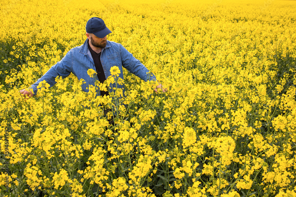 Young farmer in field of blooming rapeseed Young farmer in field of blooming rapeseed
