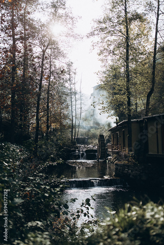 waterfall in the forest