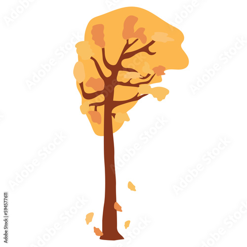 Autumn leaves falling from the tree