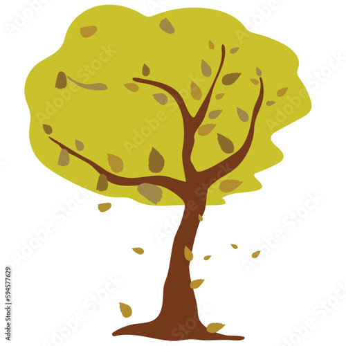 Autumn leaves falling from the tree