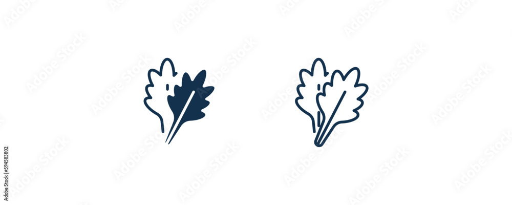 arugula icon. Outline and filled arugula icon from vegetables and fruits collection. Line and glyph vector isolated on white background. Editable arugula symbol. arugula icon. Outline and filled arugula icon from vegetables and fruits collection. Line and glyph vector isolated on white background. Editable arugula symbol.
