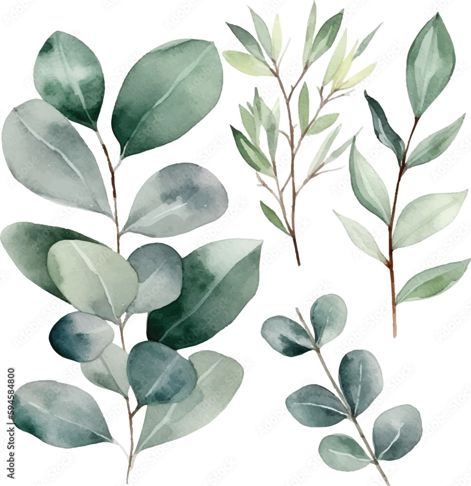 A set of green leaves and branches with leaves. A set of green leaves and branches with leaves.