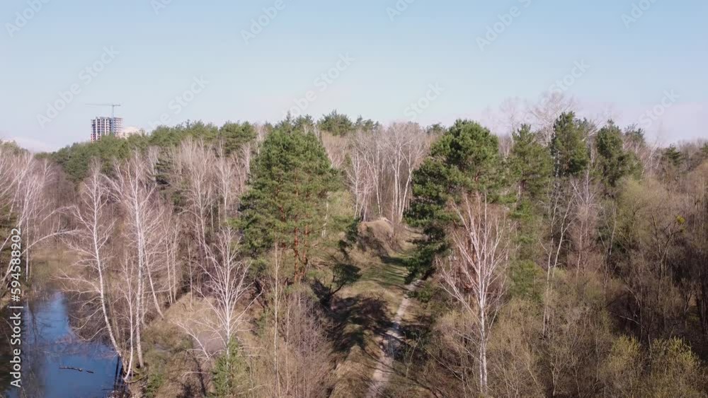 Tall pines and birches on forest lake shores, aerial view Tall pines and birches on forest lake shores, aerial view