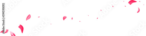Beautiful Sakura Japan Vector Transparent