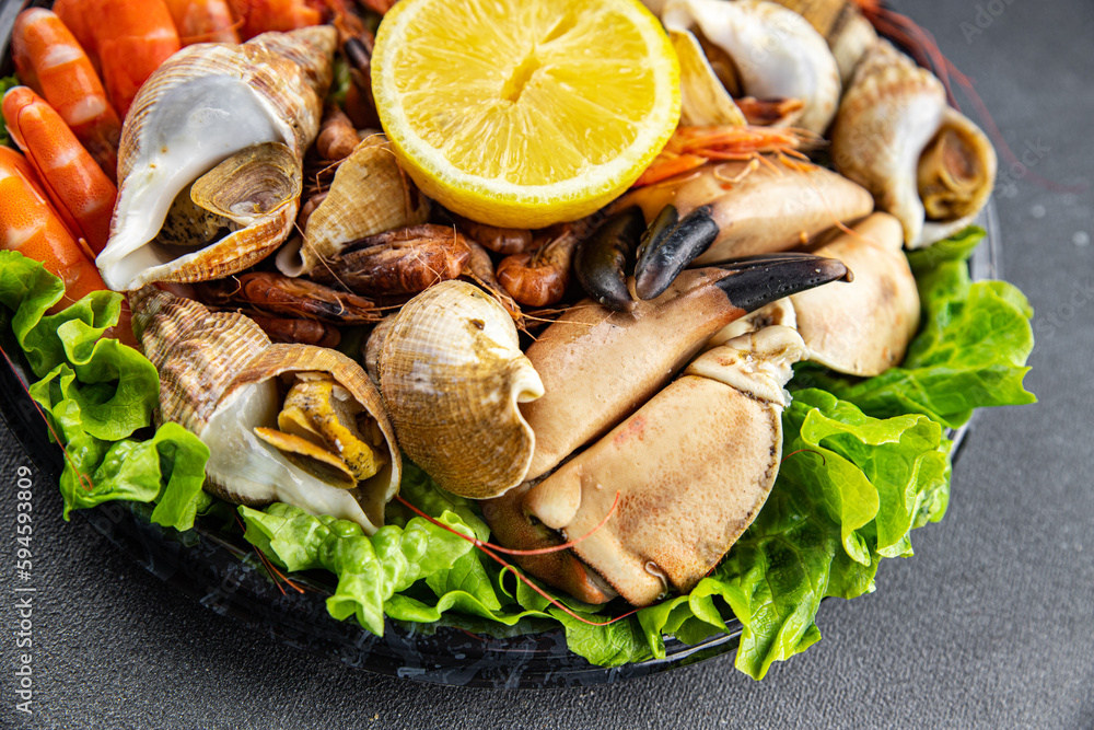 seafood platter Fruits de mer shrimp, crab claw, clam, rapan, trumpeter mollusk  meal food snack on the table copy space food background rustic top view
