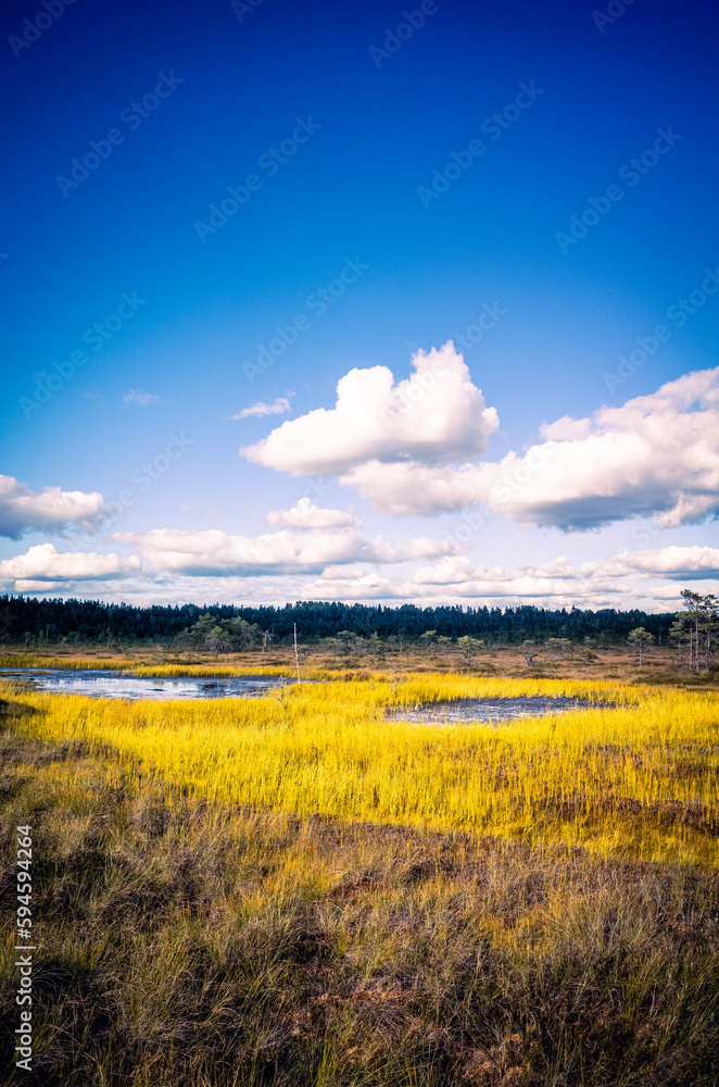 Fototapeta premium sunset over the river