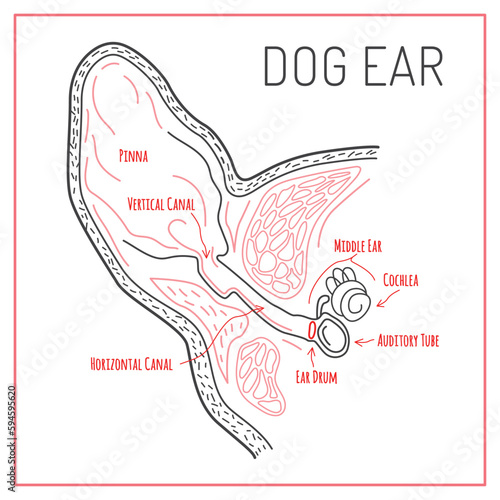 Dog ear scheme in outline style. Editable vector illustration.