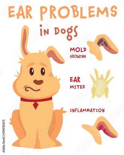 Common ear problems in dogs. Vector illustration
