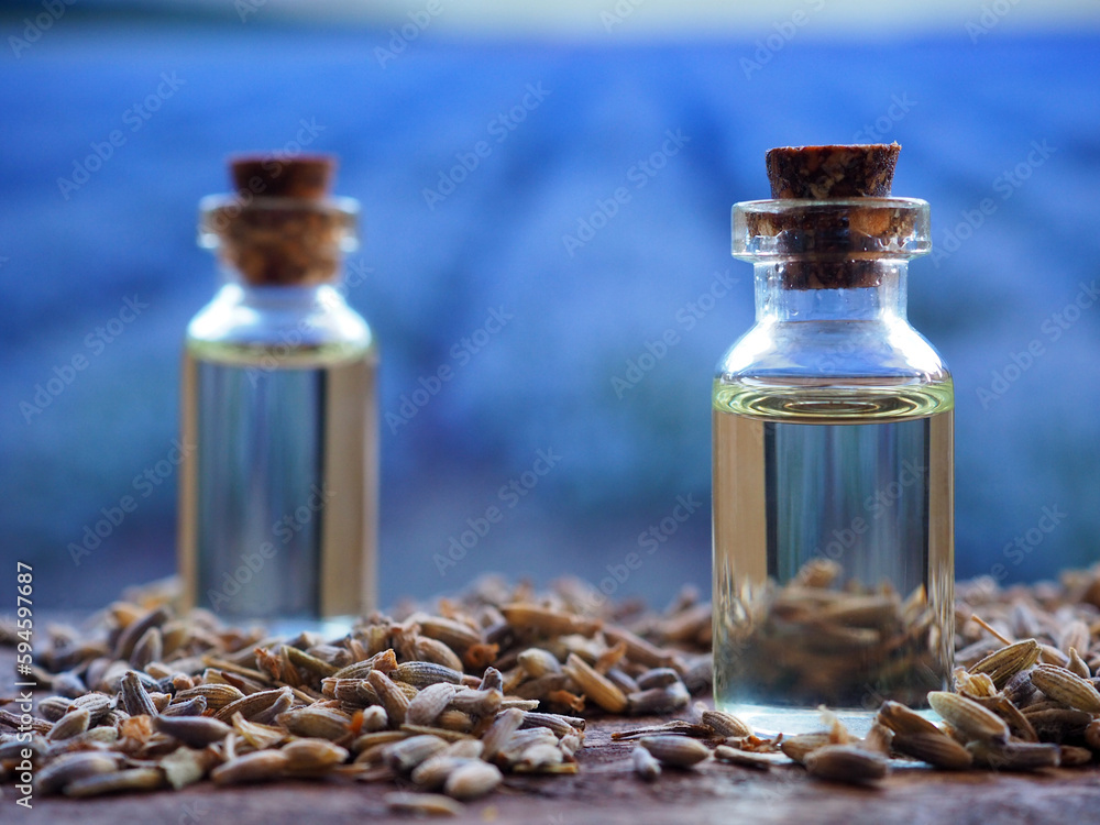 Two bottles with lavender cosmetic or essential oil or face serum against lavender flowers field Two bottles with lavender cosmetic or essential oil or face serum against lavender flowers field