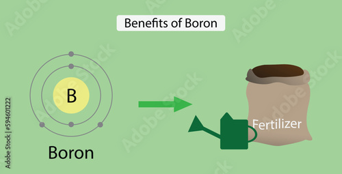 illustration of chemistry, Benefits of Boron, Boron increases flower production and retention, pollen tube elongation and germination and seed and fruit development, fertilizer