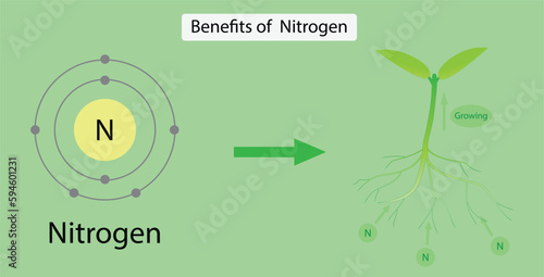 illustration of chemistry, Benefits of Nitrogen, Nitrogen is so vital because it is a major component of chlorophyll, photosynthesis, Nitrogen is an essential nutrient for plant growth