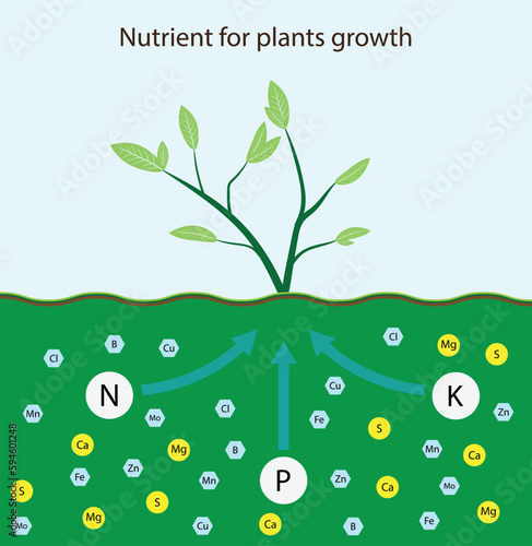 illustration of chemistry and biology, Nutrient for plants growth, Role of nutrients mineral in plant and soil life with mineral nutrients, biochemistry 