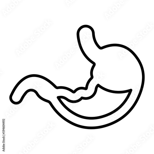 Stomach