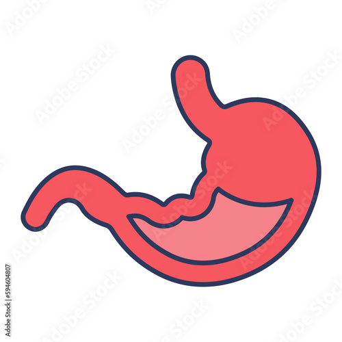 Stomach