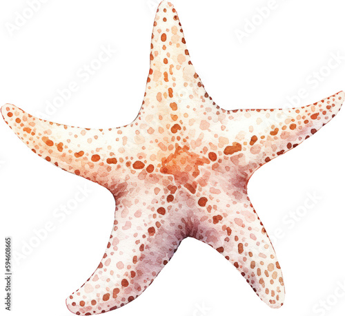 starfish watercolor isolated