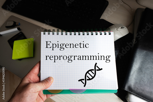 Epigenetic reprogramming word on notebook holding man against desktop. photo