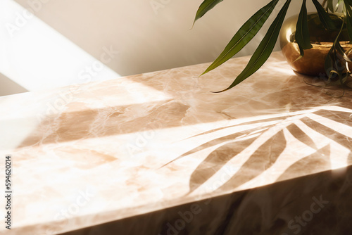 Elegant Marble Surface, Sunlit Palm, Luxury Cosmetics Display, Spa Backdrop, Skincare Setting photo