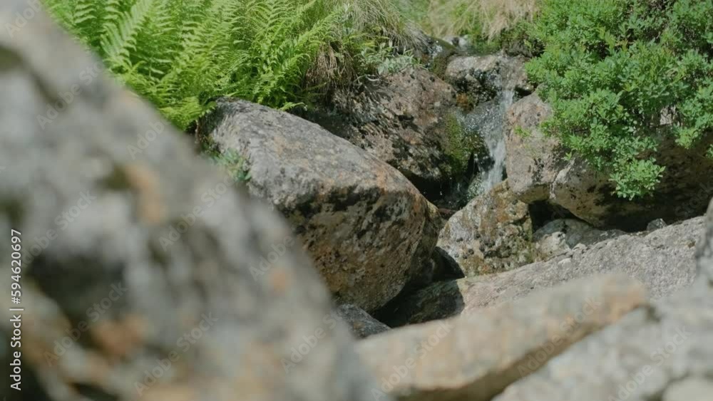 A small waterfall. Clear mountain water flows slowly between the mossy stones. Norway A small waterfall. Clear mountain water flows slowly between the mossy stones. Norway