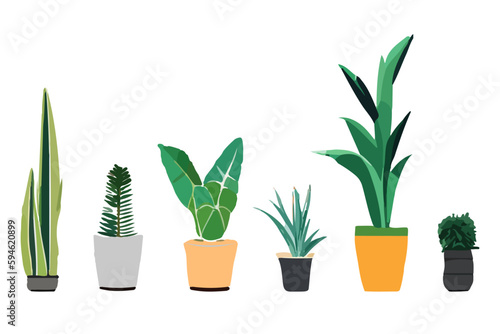 Urban jungle, trendy home decor with plants, cacti, tropical leaves in stylish planters and pots.