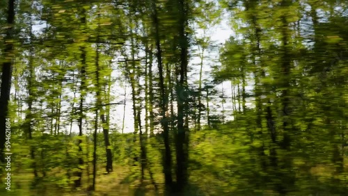 Dark silhouettes of evening old tall trees passing by fast as seen from driving car. Soft gold sunset sunlight in background. Countyside of Ukraine. Sun set landscape of Ukraina. Slow motion 4k video