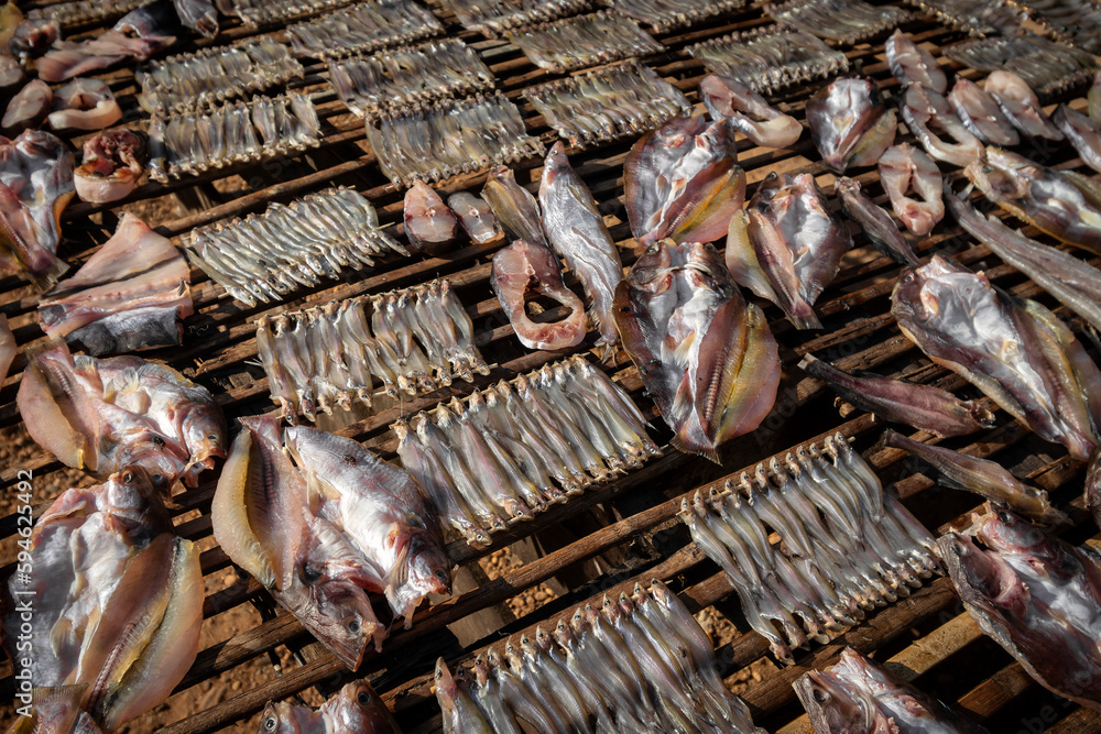 fish drying outside in the sun at cambodian market in asia