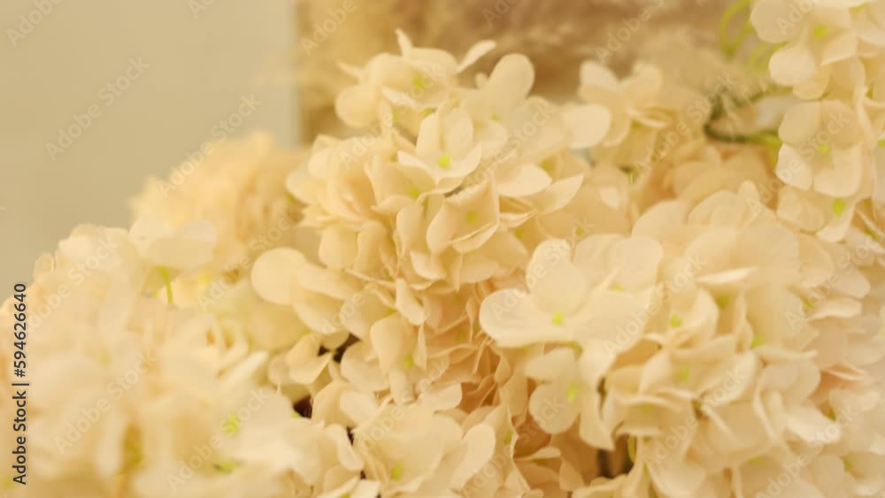 arrangement of dried flowers on the wall and floor in the room decor arrangement of dried flowers on the wall and floor in the room decor